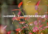 CSGO注册教程，于Steam轻松开启射击竞技之旅