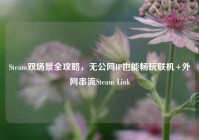 Steam双场景全攻略，无公网IP也能畅玩联机+外网串流Steam Link