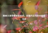 揭秘王者荣耀加密标识，设置方法与安全隐私守护