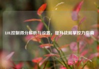 LOL控制得分解析与设置，提升战局掌控力指南