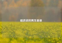 唱逆战的男生是谁