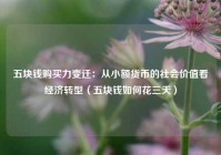 五块钱购买力变迁：从小额货币的社会价值看经济转型（五块钱如何花三天）