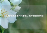 Steam账号常见提问与解答，账户问题查询处