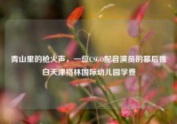青山里的枪火声，一位CSGO配音演员的幕后独白天津格林国际幼儿园学费