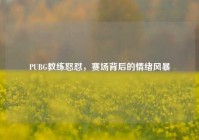 PUBG教练怒怼，赛场背后的情绪风暴