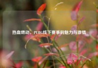 热血燃动，PUBG线下赛事的魅力与激情