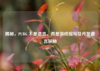 揭秘，PUBG 不是语言，而是游戏缩写及开发语言探秘