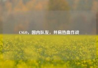 CSGO，国内队友，并肩热血作战