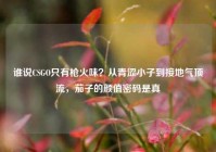 谁说CSGO只有枪火味？从青涩小子到接地气顶流，茄子的颜值密码是真