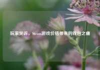 玩家哭诉，Steam游戏价格带来的钱包之痛