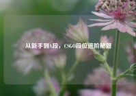 从新手到A段，CSGO段位进阶秘籍