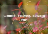 CSGO开场取消，变革中的机遇、挑战与退出操作疑问