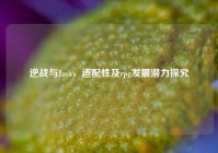 逆战与Java，适配性及rpg发展潜力探究