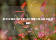 PUBG设置离线状态的详细操作步骤与注意事项解析