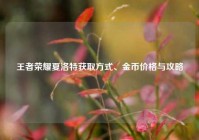 王者荣耀夏洛特获取方式、金币价格与攻略
