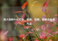 深入剖析PUBG打标，机制、作用、影响及标点方法