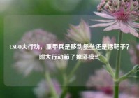 CSGO大行动，重甲兵是移动堡垒还是活靶子？附大行动箱子掉落模式