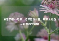 王者荣耀VIP隐藏，特权隐秘世界、玩家生态及功能开启全揭秘