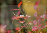 CSGO传奇，Floppy