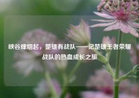 峡谷烽烟起，楚雄有战队——记楚雄王者荣耀战队的热血成长之旅