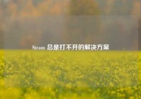 Steam 总是打不开的解决方案