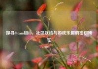 探寻Steam组ID，社区联结与游戏乐趣的密钥所在