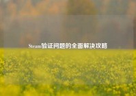 Steam验证问题的全面解决攻略