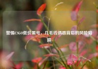 警惕CSGO低价黑号，几毛钱诱惑背后的风险陷阱