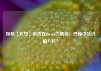 探秘〈咒怨〉游戏在Steam的售价，恐怖体验价值几何？