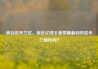峡谷旧木兰忆，你还记得王者荣耀最初的花木兰模样吗？
