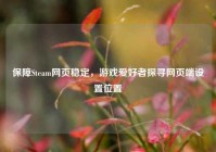 保障Steam网页稳定，游戏爱好者探寻网页端设置位置