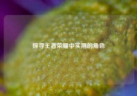 探寻王者荣耀中实用的角色