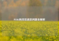 PUBG购买后退款问题全解析