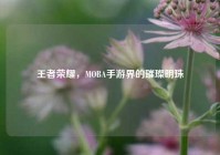 王者荣耀，MOBA手游界的璀璨明珠