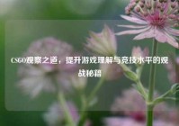 CSGO观察之道，提升游戏理解与竞技水平的观战秘籍