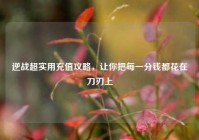 逆战超实用充值攻略，让你把每一分钱都花在刀刃上