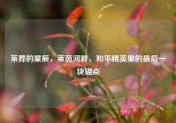 莱葬的星辰，莱茵河畔，和平精英里的最后一块锚点