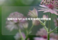 顶峰科技与PUBG在电竞领域的奇妙碰撞
