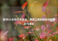 探寻LOL在线记录查询，便捷工具助玩家回顾精彩与成长