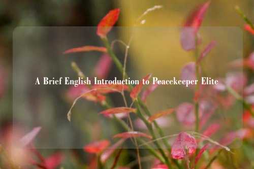 A Brief English Introduction to Peacekeeper Elite