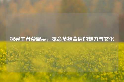 探寻王者荣耀cos，本命英雄背后的魅力与文化
