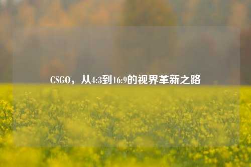 CSGO,从4:3到16:9的视界革新之路