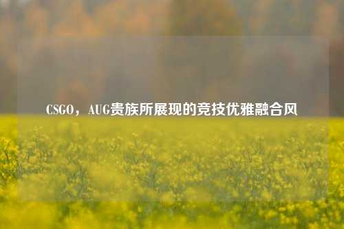 CSGO,AUG贵族所展现的竞技优雅融合风