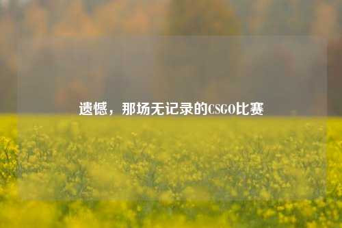 遗憾,那场无记录的CSGO比赛