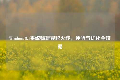 Windows 8.1系统畅玩穿越火线，体验与优化全攻略