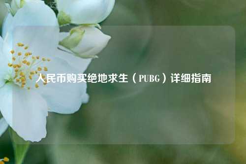 人民币购买绝地求生（PUBG）详细指南
