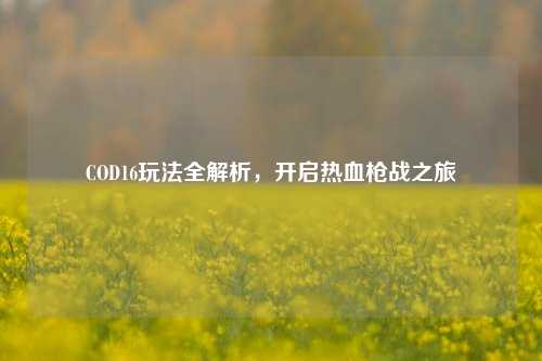 COD16玩法全解析，开启热血枪战之旅