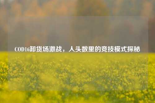 COD16卸货场激战,人头数里的竞技模式探秘