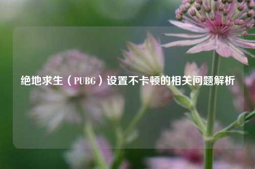 绝地求生（PUBG）设置不卡顿的相关问题解析