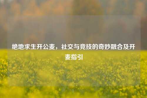 绝地求生开公麦,社交与竞技的奇妙融合及开麦指引